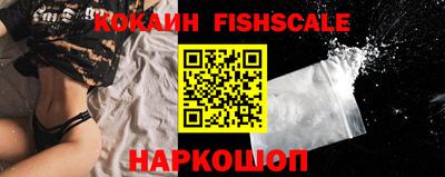 гашик Кулебаки